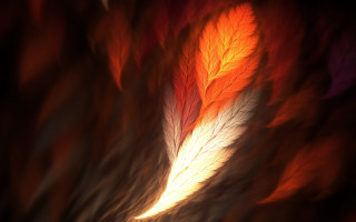 Blurry leaf red yellow background - the bottom of the image free wallpaper