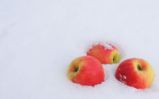 Three apples snow winter still - a white surface free wallpaper