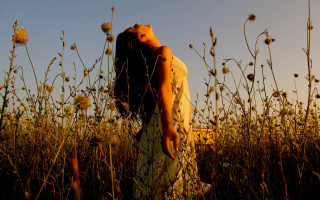 Woman field hands closed autumn - woman free wallpaper