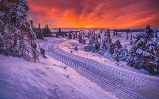 Snowy forest road sunset mountain - a sunset in the background free wallpaper