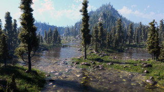 River forest rocks sunny blue 4 - a sunny day free wallpaper