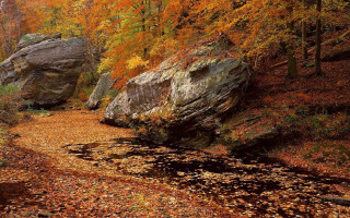 Woods rock formation autumn leaves - a path free wallpaper