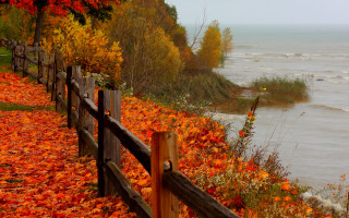 Fence autumn leaves lake boats - regionalism free wallpaper