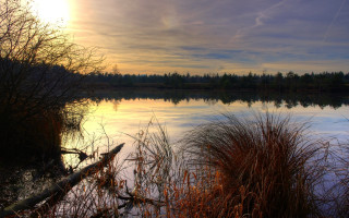 Sunset lake trees clouds impessionist - andor basch free wallpaper