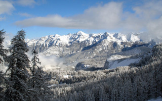 Snowy mountain range trees winter - a few snow covered mountains free wallpaper