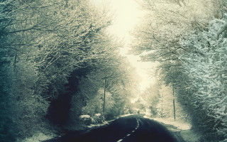 Snowy road car winter forest - winter free wallpaper for desktop