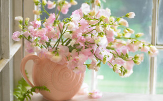 Pink vase flower still life - soft color free wallpaper