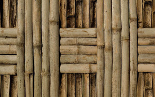 Bamboo wall pattern sticks poles - carol bove free wallpaper