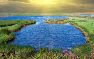 River grassy bank sunny landscape - alexander brook free wallpaper