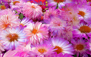 Pink flower blooming digital painting - digital painting free wallpaper