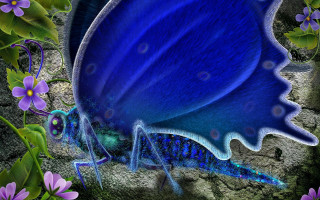Blue butterfly purple flowers garden - bioluminescence free wallpaper