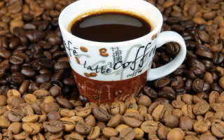 Coffee cup coffee beans bed - coffee bean free wallpaper