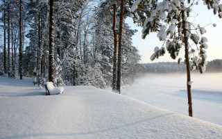 Snowy forest mountains foggy sky - foggy free wallpaper