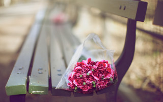 Flower bouquet sunlit bench blurry - the bench free wallpaper