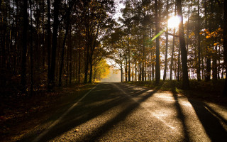 Forest road sunshine cityscape fireworks - the side of the road free wallpaper