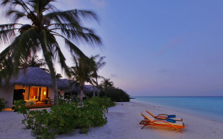 Beach hut loungers dusk palm - dusk free wallpaper