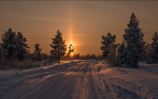 Snowy road dusk forest bush - arvid nyholm free wallpaper