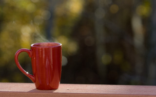 Red coffee cup wooden table - a forest of trees free wallpaper