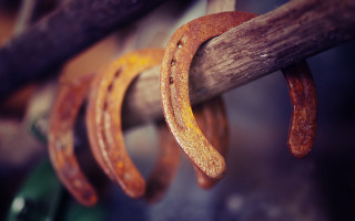 Wooden stick rings green object - end free wallpaper