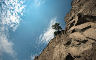 Lone tree rocky cliff blue - sense of depth free wallpaper