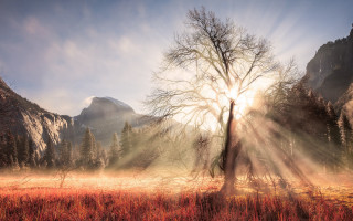 Tree mountains fog sunset volumetric - the background and sun free wallpaper