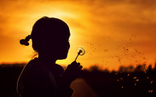 Little girl dandelion sunset silhouette - sunset free wallpaper