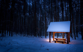Snowy forest cabin night aurora - roof free wallpaper