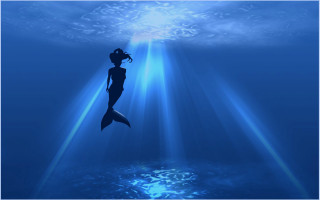 Swimming ocean light beam fish - daphne mcclure free wallpaper