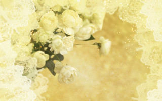 White flowers yellow background lace - blender and photoshop free wallpaper