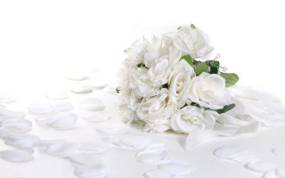 Bouquet white flowers background petals - white petal free wallpaper