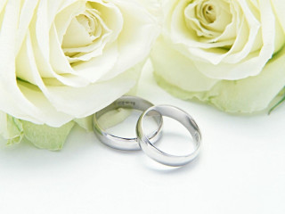 Wedding rings roses white background - two rose free wallpaper