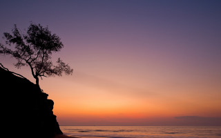 Lone tree cliff ocean sunset - a lone tree free wallpaper