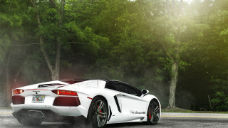 White sports car road forest - a forest of trees and bushes free wallpaper