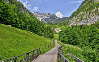 Wooden path green hillside mountain - a wooden path free wallpaper