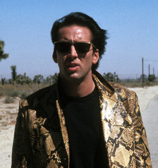 Man gold jacket sunglasses skateboard - hypermaximalist free wallpaper