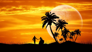 Desert sunset romantic couple palm - sunset free wallpaper