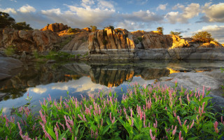 Lake rocks flowers clouds sky - a few pink flower free wallpaper