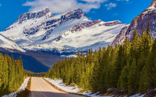 Mountain road snow trees tiltshift - the side of the road free wallpaper