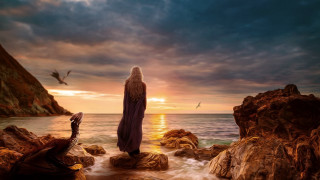 Person rock ocean bird sky - a rock near the ocean free wallpaper