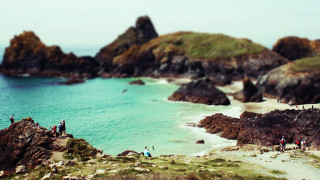 Rocky beach pleinair tiltshift bird - tilt shift free wallpaper