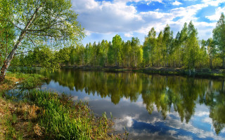 Lake trees grass cloudy sky 4 - impressionist free wallpaper