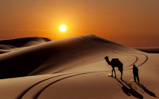 Desert sunset couple camel silhouette 2 - egyptian art free wallpaper