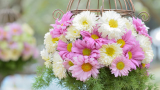 Flowers vase birdcage stilllife folkart - a bunch of flowers free wallpaper