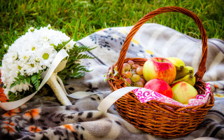 Basket fruit flowers vase autumn - a vase free wallpaper