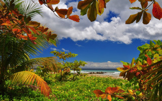 Lush green beach ocean sky - impressionist free wallpaper