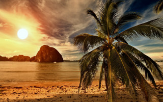 Palm tree beach sunset rock - a matte painting free wallpaper for desktop