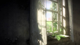 Window plant growing dark room - craig mullins free wallpaper