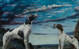 Dogs rocky outdoor ocean sunset - the sky above them free wallpaper