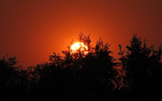 Sunset trees red sky autumn - a sun free wallpaper