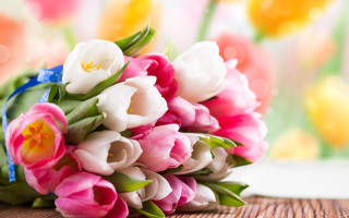 Tulip bouquet window blurry background - a table in front free wallpaper